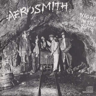Night in the Ruts album cover