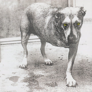 Alice in Chains album cover