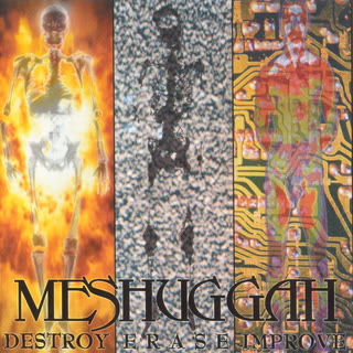 Destroy Erase Improve album cover