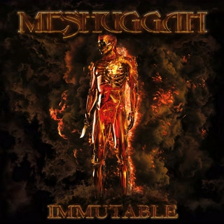 Immutable album cover