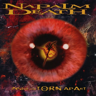 Inside the Torn Apart album cover