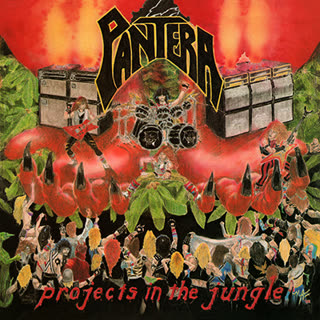 Projects in the Jungle album cover