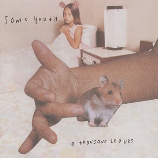 A Thousand Leaves album cover